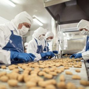 Food Industry