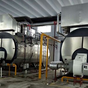 Condensing Gas Steam Boiler 