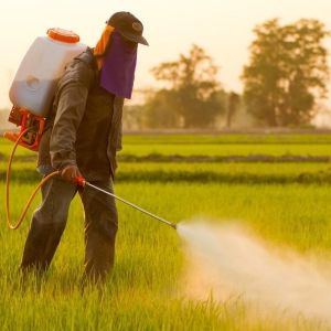 Pesticides