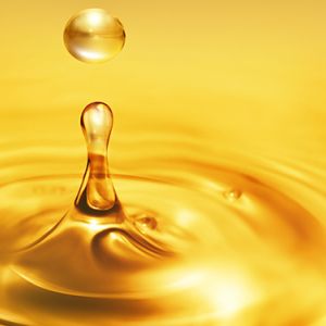 Petroleum Sector